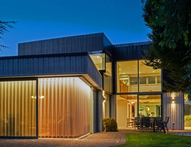 Collie Beag, Cambridge, United Kingdom